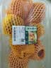 国产嘎啦苹果约1kg 实拍图