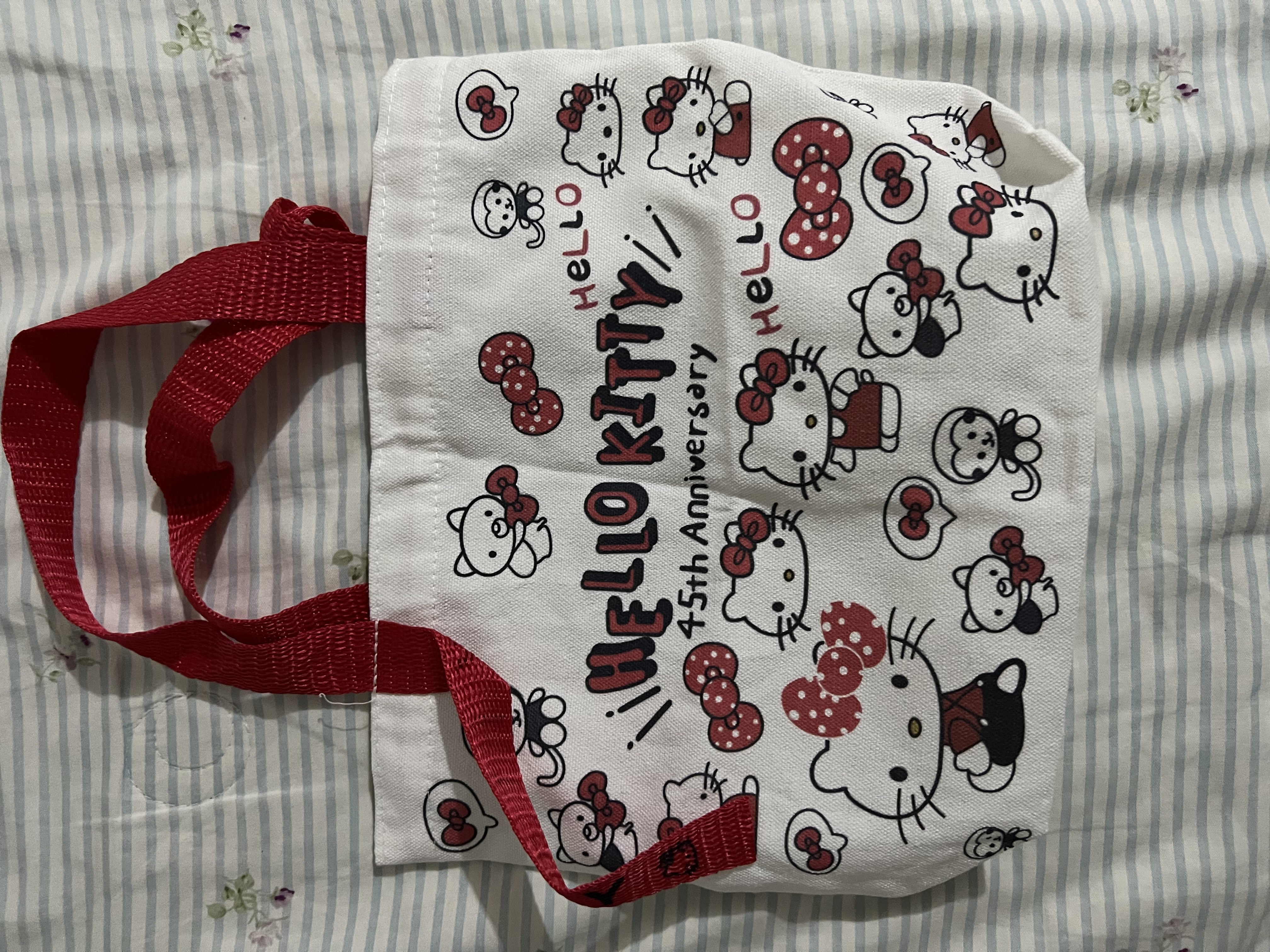 心动购物季学生可爱凯缇画包帆布包学生绘画出行可爱草莓小熊超萌凯缇猫便携小包收纳方便手提 新款KT帆布包【红飘带】 实拍图