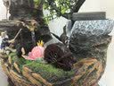 水源工坊 假山造景流水喷泉客厅摆件室内玄关桌面水车高山盆景观 山明水秀小号带雾化器 实拍图