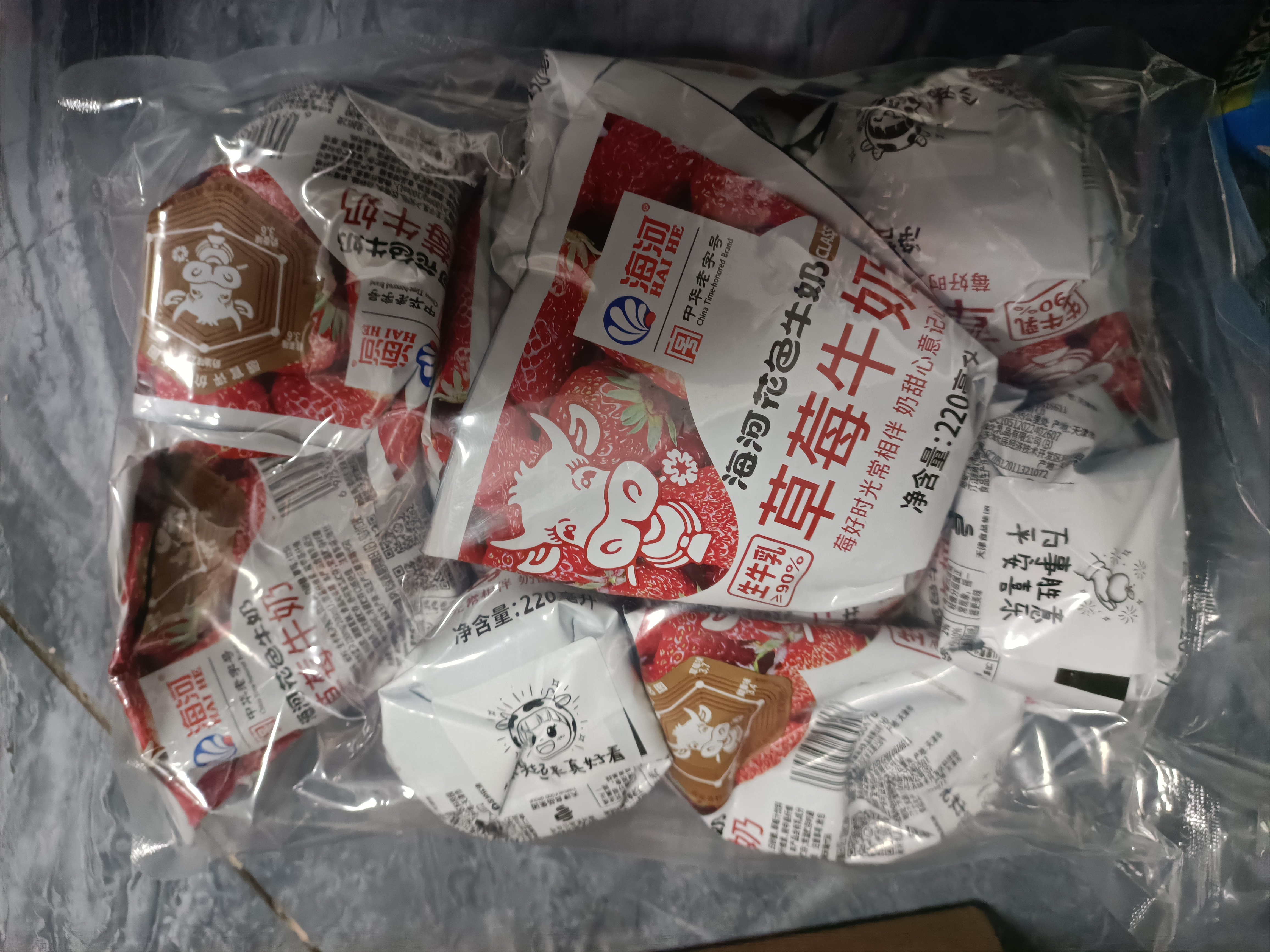 海河牛奶早餐奶天津海河网红风味奶日期新鲜可批发袋装奶 海河牛奶草莓味220ml*10包 实拍图