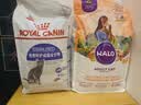 自然光环Halo猫粮成猫 美国进口 纯鲜肉 美毛护肤成猫粮鸡肉味6磅/2.72kg 实拍图