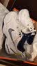 耐克NIKE男老爹鞋AIR MONARCH IV 运动训练鞋415445-102白蓝40 实拍图