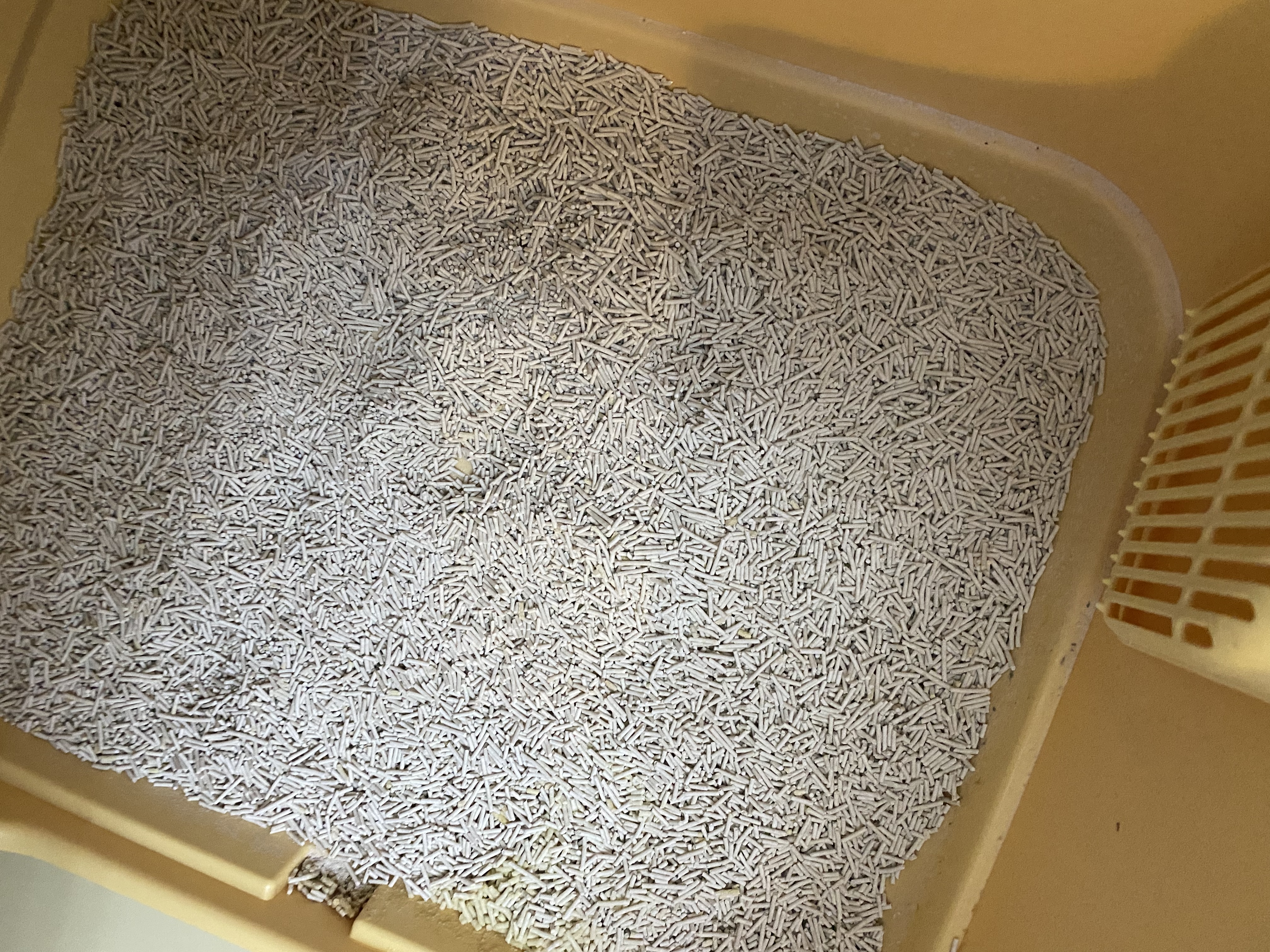 pidan猫砂 豆腐猫砂2.4kg*4包强力吸臭纯猫砂 可冲厕所非膨润土砂 实拍图