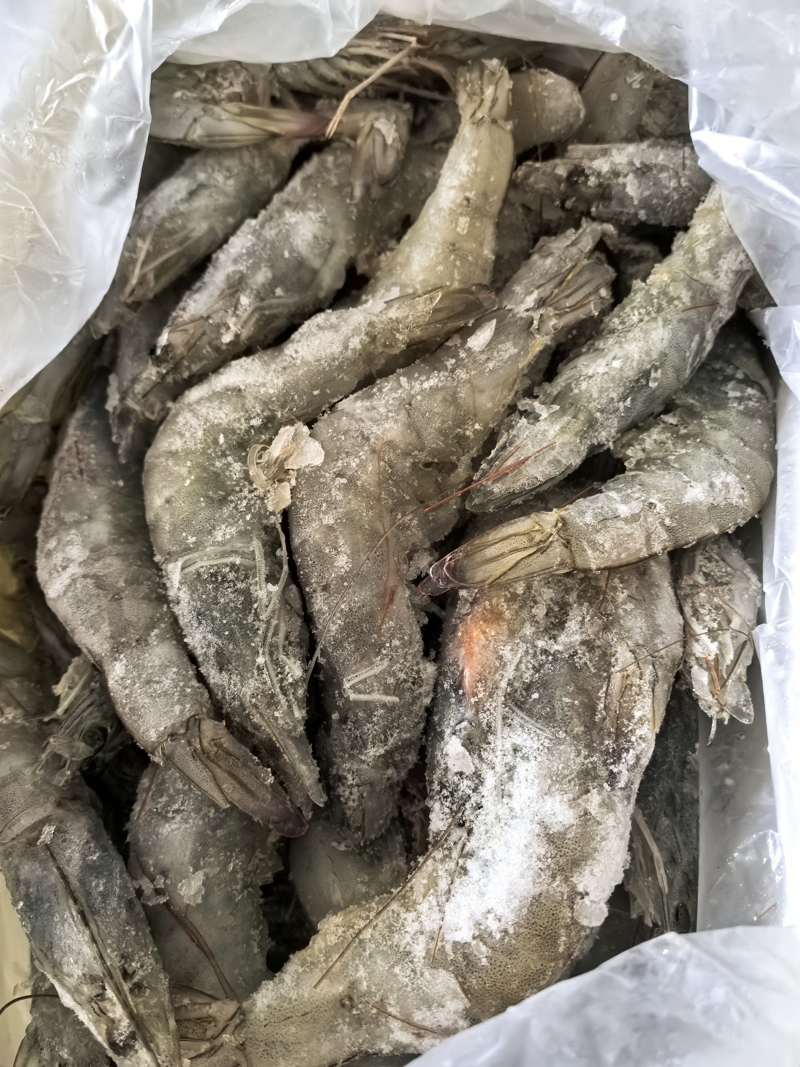 东上御品 国产盐冻大虾 白虾40/50规格 净重3斤 生鲜虾类-源头直发 实拍图