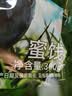 京东京造长白山有机果汁蓝莓干300g无添加健康零食儿童孕妇休闲小包装 实拍图