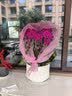 元族【2小时达】大花蝴蝶兰盆栽兰花同城配送鲜花送朋友长辈生日礼物 【年年胜意】8株紫色蝴蝶兰盆栽（花盆随机） 实拍图