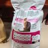 皇家猫粮 挑嘴成猫猫粮 高适口性 EF38 通用粮 12月以上 4KG 实拍图