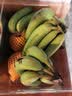 高山精品甜蕉现摘新鲜水果香蕉孕妇宝宝辅食搭配丫丫生鲜特产 云南香蕉净重4.5斤+【青蕉发货】 实拍图
