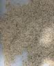 城市理享山野白茶豆腐木薯矿混合猫砂2.5kg*4除臭颗粒吸水强结团不粘底 实拍图