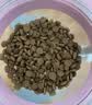 素力高（SolidGold）猫粮金素鸡升级款 成幼猫进口高蛋白12磅/5.44kg 实拍图