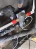 美的（Midea）前置过滤器家用全屋前置滤水器自动反冲洗防爆自来水管道净水过滤器QZBW20S-12带压力表15T免换芯 实拍图