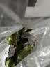 广西网红小米蕉青香蕉发货密封放熟吃新鲜水果皮薄肉厚 带箱2斤青蕉发货 实拍图