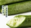 【水果菜】荷兰水果黄瓜约400g 实拍图