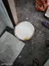 立邦乳胶漆京雅居金标超值净味120二合一无添加内墙漆18L/约25KG 实拍图