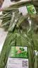 七鲜24小时油麦菜300g 实拍图