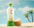if【肖战推荐】100%天然椰子水泰国原装进口饮料350ml*24瓶整箱装 实拍图