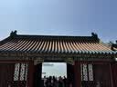 善存女士复合维生素紫瓶中秋礼盒 B族烟酰胺DCK2叶酸铁多维元素片 实拍图