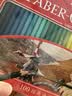 辉柏嘉（Faber-castell）【学生文具】彩铅100色油性彩铅彩色铅笔绘画工具画画套装骑士铁盒515701美术写生毕业礼物 实拍图