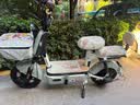 驰小虎电动自行车 如意虎新国标电动车电动自行车48V20Ah电池长续航电瓶车代步车电车家用成人电车绿 实拍图