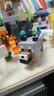 乐高（LEGO）积木我的世界21592 经典角色集合男女孩儿童玩具生日礼物 实拍图