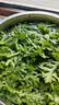 蒿子杆300g(茼蒿） 实拍图