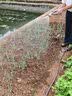 德力西电气（DELIXI ELECTRIC）抽水泵充电式浇菜家用洗车浇地菜地浇水神器农用灌溉电动抽水机 2电4缸【强续航】22米管 实拍图
