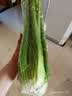西芹1kg 实拍图