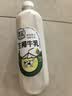 清蓝生椰牛乳1.25L*6瓶整箱 鲜榨椰汁浓醇牛奶椰奶双蛋白饮料早餐奶 实拍图