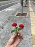 沙宣大红瓶洗发水修护水养男士女士通用400g修护枯燥断洗发露洗发膏 实拍图