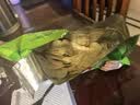 乐事（Lay's）薯片 (原味+黄瓜+青柠) 70克*3包 组合包 零食大礼包 休闲食品 实拍图