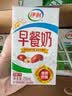 伊利早餐奶 新疆红枣250ml*16盒*1箱 礼盒装 实拍图