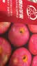 京鲜生 烟台红富士苹果 净重5斤/12粒 单果190-240g 生鲜中秋礼盒 实拍图