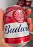 百威啤酒mini红罐淡色拉格255ml*12小罐整箱装京东自营喜酒中秋礼品 实拍图