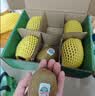 佳沛（zespri）绿奇异果经典果6粒89-103g猕猴桃源头直发中秋节礼品送水果礼盒 实拍图