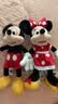 迪士尼（Disney）经典米奇米妮毛绒玩偶玩具大号公仔情侣结婚礼物压床娃娃生日礼物 米奇米妮红色小号组合 赠礼袋 实拍图