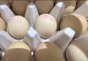 七鲜可生食鲜鸡蛋15枚750g 实拍图