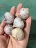 玉燕妃云南正宗新鲜紫皮独头大蒜独蒜干蒜 农家露天自种助农生鲜蔬菜 2.5-3cm紫皮独头干蒜净重2斤 实拍图