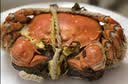 【活蟹】漁家师傅大闸蟹全母4.0-4.3两6只 去绳足重鲜活现货螃蟹生鲜水产海鲜礼盒 实拍图