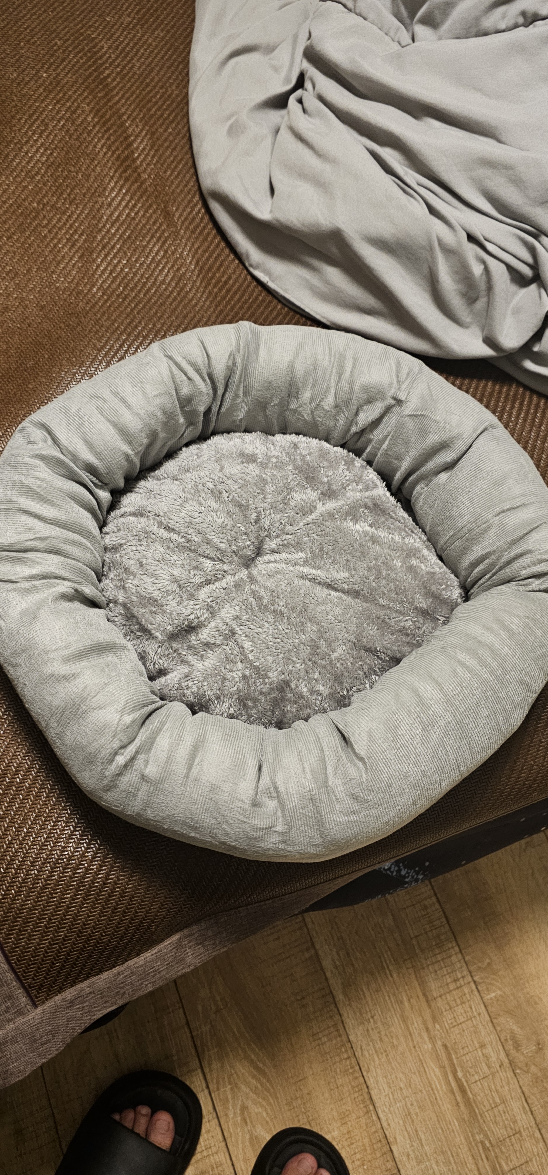 梵都宠舍猫窝四季通用圆形蛋挞窝带独立枕头猫咪深睡窝 灰色L号 实拍图