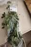 【火锅季】带根香菜100g 实拍图