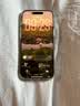 Apple/苹果iPhone 17 Pro Max 512GB 银色 移动联通电信5G 双卡双待手机 送礼好物 实拍图