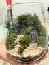 苔映苔藓微景观创意桌面微观造景植物摆件礼物减压绿植生态瓶diy材料 精灵小镇-材料包-瓶子+素材+工具 实拍图