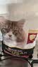 冠能猫粮成猫猫粮三文鱼味2.5kg 全价猫粮 稳固免疫 适口性强 实拍图