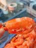 仁豪水产腹籽北极甜虾净重2斤 特大号 70/90规格 腹籽率80% 家庭聚餐 实拍图