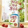 伊利早餐奶 新疆红枣250ml*16盒*1箱 礼盒装  实拍图