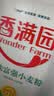 香满园 面粉 中筋粉 美味富强小麦粉 20斤 包子饺子馒头饼手擀面 实拍图