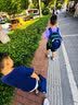 CAMS【幼升小】悬浮减重书包1-2-4年级男女儿童小学生轻便护脊S03204 实拍图