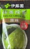 伊藤园（ITOEN）抹茶绿茶（原味）茶包养生茶小包装 45g（3g*15包）27年11月 实拍图