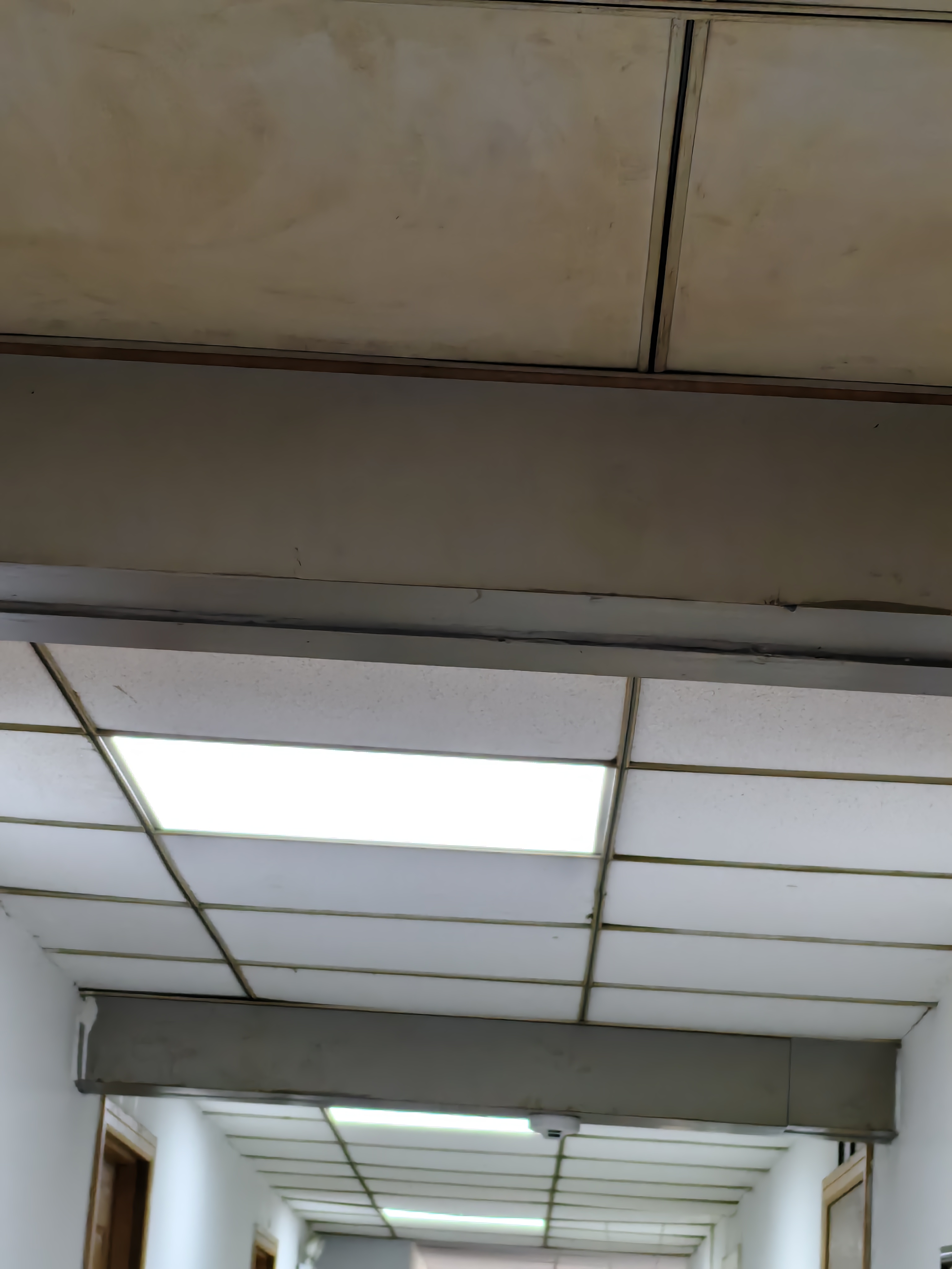 长惟 led平板灯600x600集成吊顶灯6060面板扣板灯吸顶天花灯办公室灯 38瓦600*600mm-高亮白光白框 实拍图