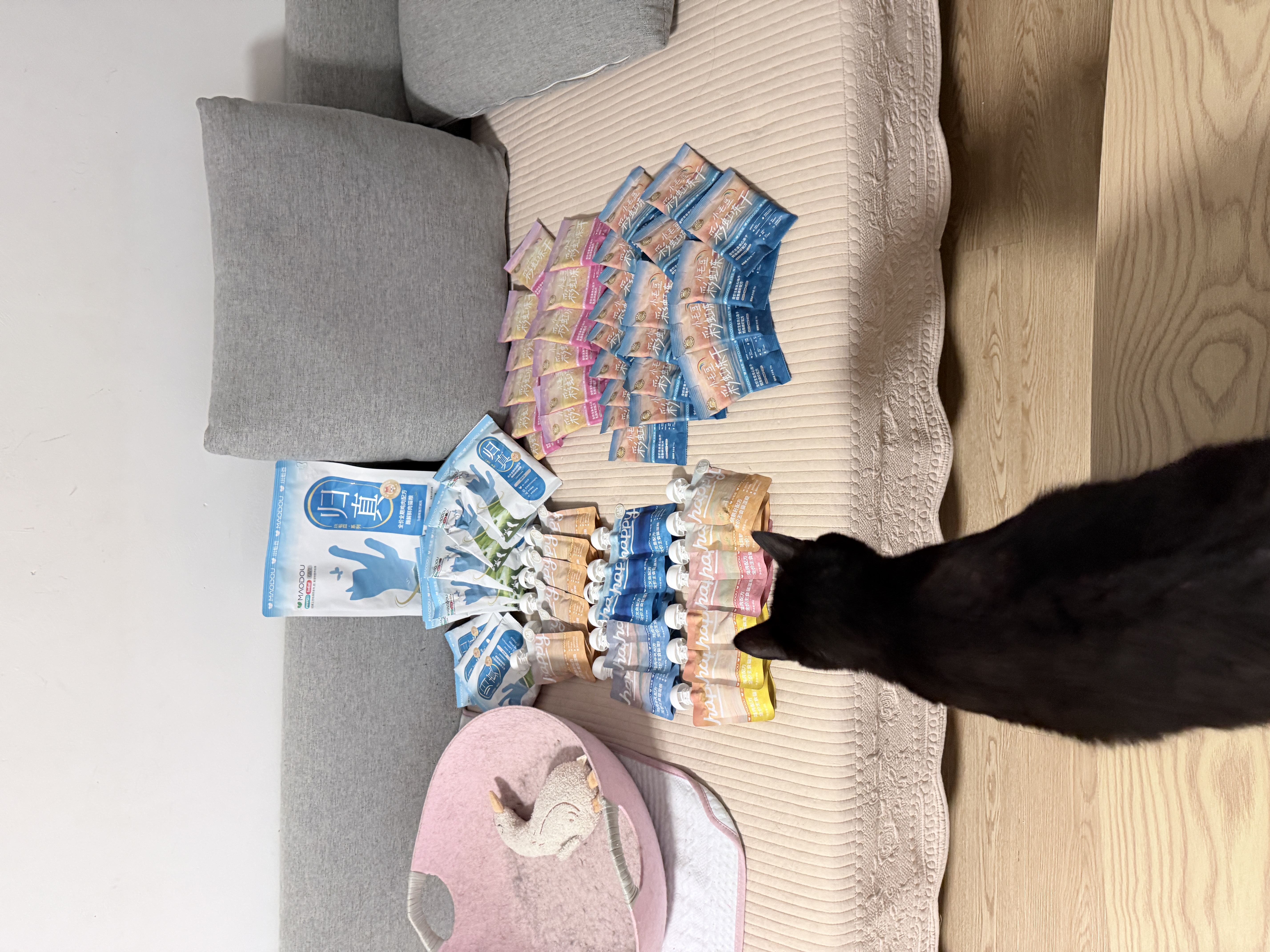 小毛豆猫粮 归真猫粮 全阶段成猫幼猫酶解鲜鸡肉幼猫猫粮福贝猫粮 【店铺爆款】归真猫粮3斤+送1斤试吃 实拍图